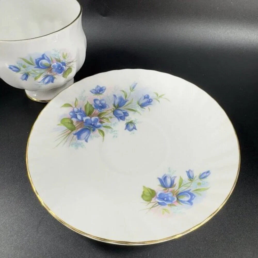 Queens Rosina China Co Blue Flowers‎ Teacup Saucer Set Porcelain Vintage England
